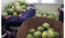 今日吃瓜在线观看 吃瓜大赛,在线观看吃瓜大赛，笑料横飞，精彩纷呈！